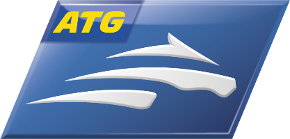 ATG3